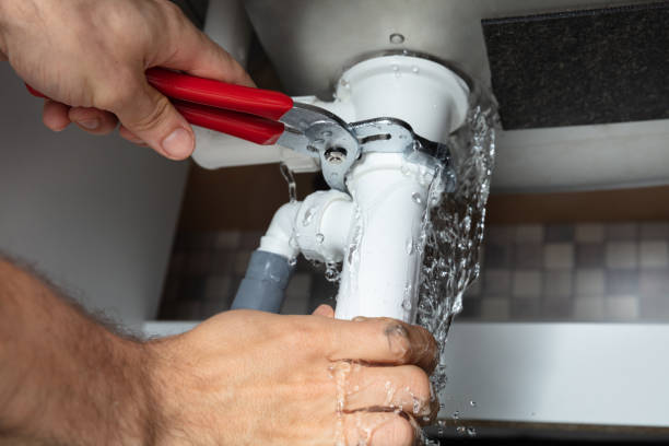 Best Flooded house restoration  in Waverly, MN