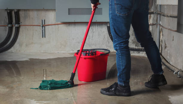 Best Basement water damage restoration  in Waverly, MN