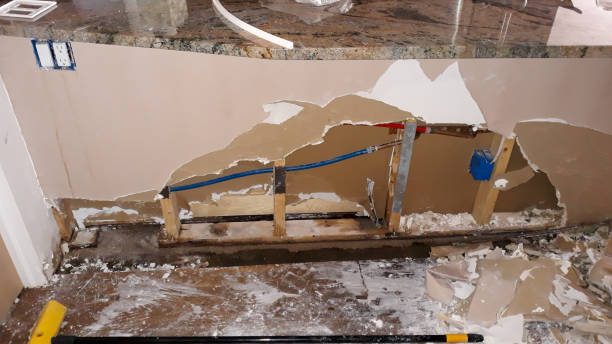 Best Water damage restoration cost  in Waverly, MN