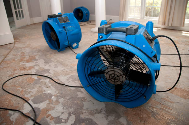 Best Flood restoration services  in Waverly, MN