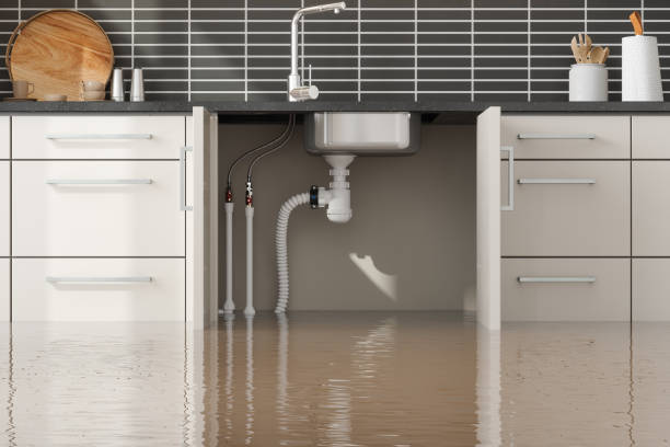 Best Water damage restoration near me  in Waverly, MN