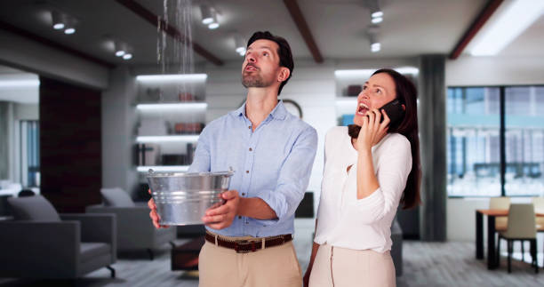 Best 24/7 water damage repair  in Waverly, MN